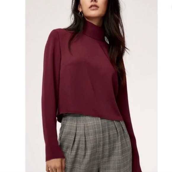 Aritzia Babaton Rembrandt Turtleneck Blouse - Picture 1 of 8